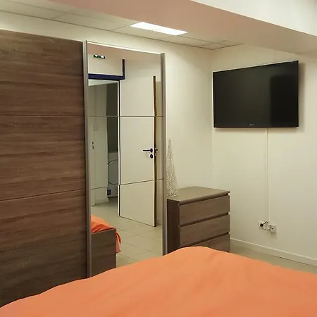 Grand Format Apartment Colmar